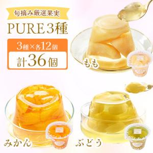 ふるさと納税 諫早市 【毎月定期便】PURE 270g 3種×各12個 計36個セット(みかん・もも・ぶどう)全9回