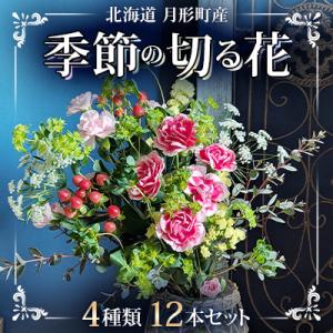ふるさと納税 月形町 【発送月固定定期便】北海道月形産　季節の切り花12本セット(4種類×3本)9〜...