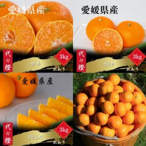 ふるさと納税 八幡浜市 【発送月固定定期便】【訳あり】甘平 せとか みかん まどんな【H83-52】...