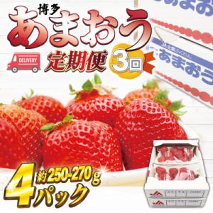 ふるさと納税 春日市 【発送月固定定期便】博多あまおう (250g-270g)×4パック(春日市)全...