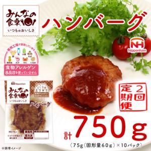 ふるさと納税 酒田市 【毎月定期便】みんなの食卓 ハンバーグ 75g×10個 冷凍 日本ハム全2回
