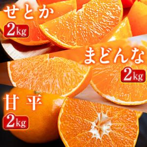 ふるさと納税 八幡浜市 【発送月固定定期便】「蜜時(みつどき)便り」高級3品種　まどんな+甘平+せとか【H64-91】全3回