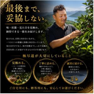 ふるさと納税 八幡浜市 【発送月固定定期便】「...の詳細画像3