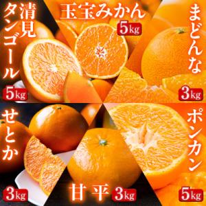 ふるさと納税 八幡浜市 【発送月固定定期便】「蜜時(みつどき)便り」みかんやまどんな、甘平、せとかなど【H64-93】全6回｜Yahoo!ふるさと納税