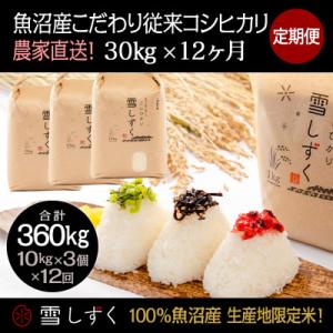 ふるさと納税 十日町市 【毎月定期便】魚沼産こだわり従来コシヒカリ30kg(10kg×3袋)×12回 合計360kg全12回