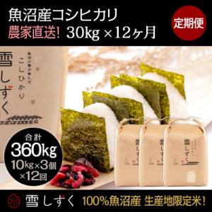 ふるさと納税 十日町市 【毎月定期便】中里地域限定!魚沼産コシヒカリ30kg(10kg×3袋)×12回 計360kg全12回