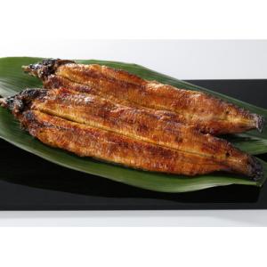 ふるさと納税 北九州市 【毎月定期便】九州産手焼き炭火うなぎ蒲焼2尾(1尾あたり120〜149g)全6回