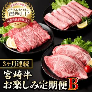 ふるさと納税 門川町 【毎月定期便】宮崎牛お楽しみ定期便B全3回｜Yahoo!ふるさと納税