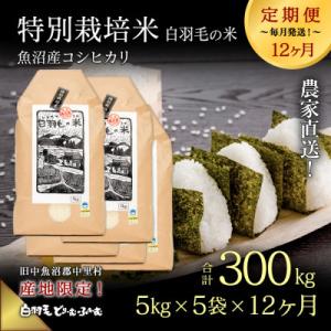 ふるさと納税 十日町市 【毎月定期便】農家直送!魚沼産コシヒカリ特別栽培 精米(5kg×5袋)全12回