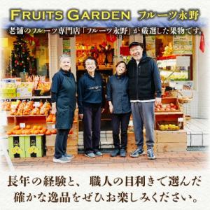 ふるさと納税 宮崎市 【発送月固定定期便】南国...の詳細画像3
