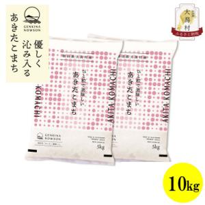ふるさと納税 大潟村 【毎月定期便】秋田県産あきたこまち白米10kg(5kg×2)全3回