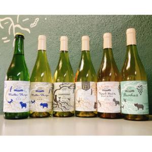 ふるさと納税 上富良野町 【毎月定期便】野生酵母ワイン 辛口白泡●月2本●多田ワイナリー全3回