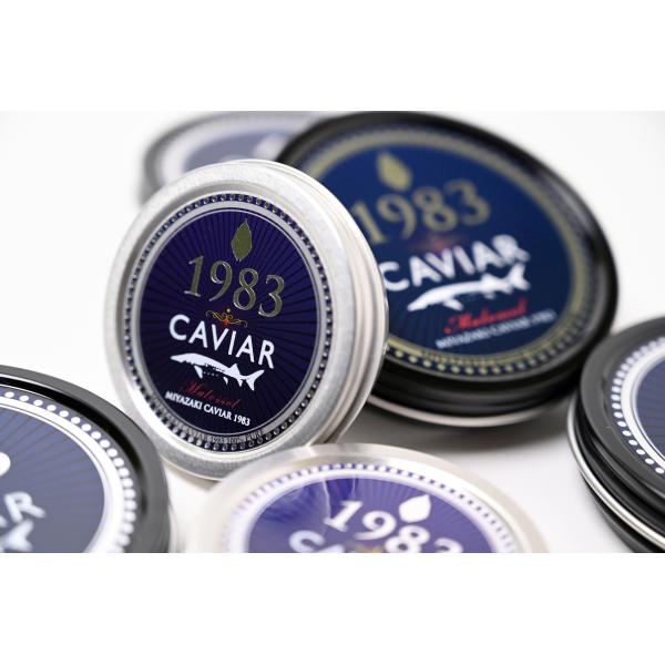 ふるさと納税 宮崎市 【毎月定期便】宮崎キャビア1983 (500g) 簡易パッケージ全12回
