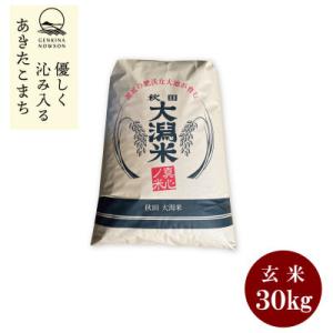 ふるさと納税 大潟村 【毎月定期便】秋田県産　あきたこまち1等　玄米　30kg全3回