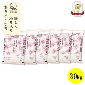 ふるさと納税 大潟村 【毎月定期便】秋田県産あきたこまち無洗米30kg(5kg×6)全12回