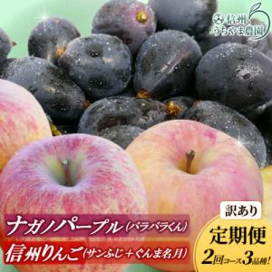 ふるさと納税 長野県 【発送月固定定期便】訳あり定期便★ナガノパープル★ぐんま名月★サンふじ★2回コ...