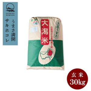 ふるさと納税 大潟村 【毎月定期便】秋田県産　サキホコレ　1等　玄米30kg全6回