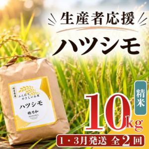 ふるさと納税 羽島市 【発送月固定定期便】【先行予約】ハツシモ(精米)10kg 全2回