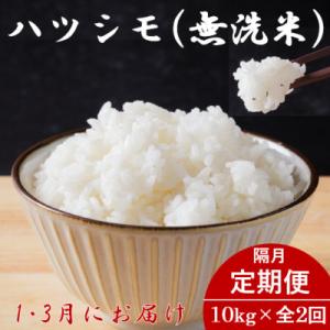 ふるさと納税 羽島市 【発送月固定定期便】生産者応援!岐阜県産ハツシモ無洗米10kg【1・3月】【隔...