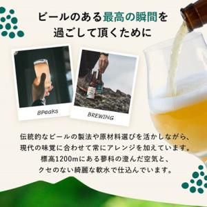 ふるさと納税 茅野市 【毎月定期便】大満足!八...の詳細画像3