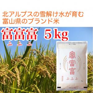 ふるさと納税 魚津市 【毎月定期便】【3ヶ月定期便】富山県産米「富富富」5kg(精米)全3回