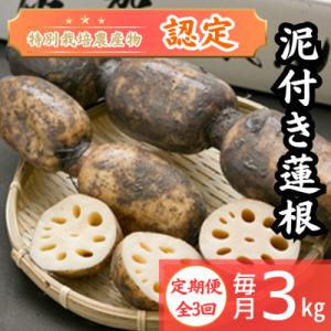 ふるさと納税 江北町 【毎月定期便】【地元江北町産】泥付き蓮根 3kg　(特別栽培農産物認定)全3回