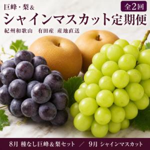 ふるさと納税 有田川町 【発送月固定定期便】紀州有田産旬のフルーツセット(種なし巨峰&amp;梨セット・シャ...