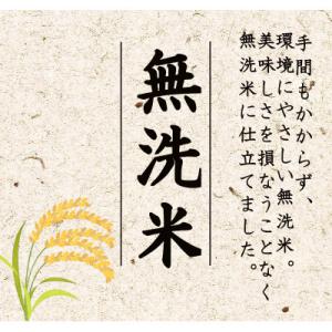 ふるさと納税 小千谷市 【毎月定期便】無洗米 ...の詳細画像3