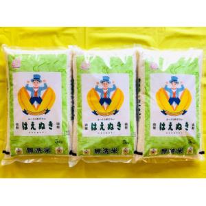 ふるさと納税 酒田市 【毎月定期便】無洗米 はえぬき 5kg全3回