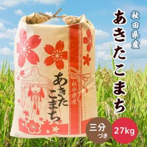 ふるさと納税 潟上市 【毎月定期便】秋田県産あきたこまち 27kg(三分づき)全12回