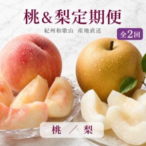 ふるさと納税 印南町 【発送月固定定期便】紀州和歌山産旬のフルーツセット(8月:桃3玉・9月:梨3玉...