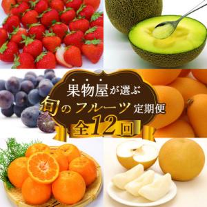 ふるさと納税 南島原市 【発送月固定定期便】果物屋が選ぶ旬のフルーツ定期便 いちご びわ みかん メ...