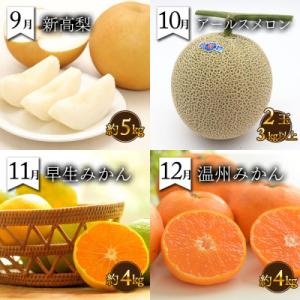 ふるさと納税 南島原市 【発送月固定定期便】果...の詳細画像3