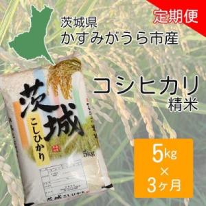 ふるさと納税 かすみがうら市 【毎月定期便】茨城県かすみがうら市産　精米　コシヒカリ5kg全3回