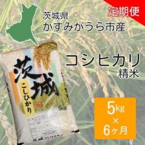 ふるさと納税 かすみがうら市 【毎月定期便】茨城県かすみがうら市産　精米　コシヒカリ5kg全6回