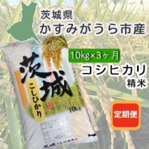 ふるさと納税 かすみがうら市 【毎月定期便】茨城県かすみがうら産　精米　コシヒカリ10kg全3回