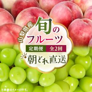 ふるさと納税 山梨市 【発送月固定定期便】 旬のフルーツ定期便　桃2kg・シャインマスカット全2回