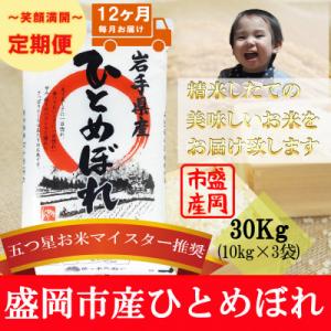 ふるさと納税 盛岡市 【毎月定期便】ひとめぼれ 30kg全12回