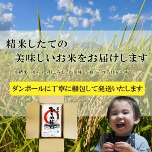 ふるさと納税 盛岡市 【毎月定期便】ひとめぼれ...の詳細画像3