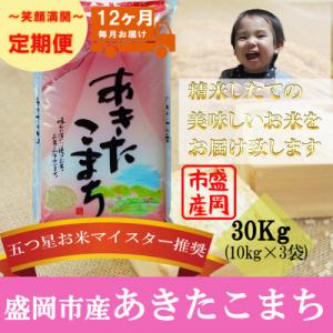 ふるさと納税 盛岡市 【毎月定期便】あきたこまち 30kg全12回