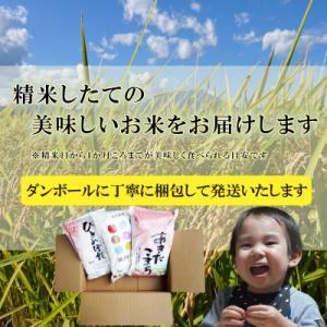 ふるさと納税 盛岡市 【毎月定期便】無洗米 3...の詳細画像3