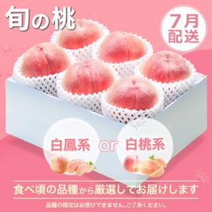 ふるさと納税 笛吹市 【発送月固定定期便】山梨...の詳細画像1