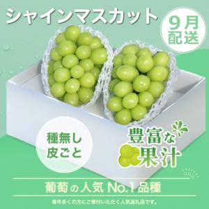 ふるさと納税 笛吹市 【発送月固定定期便】山梨...の詳細画像3