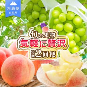 ふるさと納税 笛吹市 【発送月固定定期便】桃 シャインマスカット 旬の果物 山梨 人気 フルーツ 全2回
