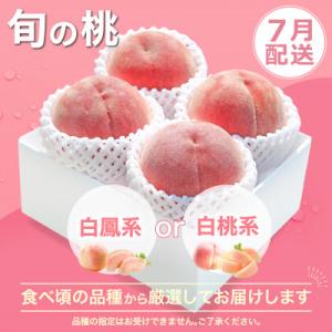 ふるさと納税 笛吹市 【発送月固定定期便】桃 ...の詳細画像1
