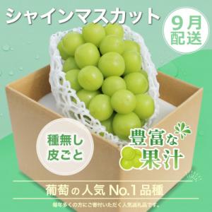 ふるさと納税 笛吹市 【発送月固定定期便】桃 ...の詳細画像3