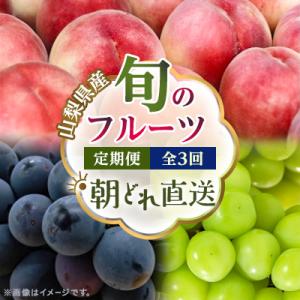 ふるさと納税 山梨市 【発送月固定定期便】フルーツ定期便 桃2kg 巨峰1kg シャイン1kg全3回