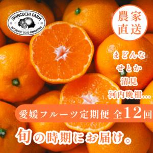 ふるさと納税 八幡浜市 【発送月固定定期便】愛媛フルーツ旬の果物 みかん農家直送 まどんな せとか【...