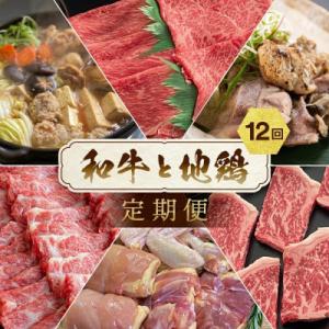 ふるさと納税 亀岡市 【毎月定期便】 12回お届け 黒毛和牛と地鶏の定期便 訳あり 全12回