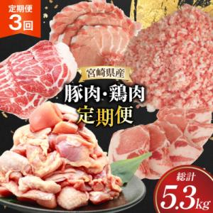 ふるさと納税 日向市 【毎月定期便】豚肉 鶏肉 宮崎県産(日向市)全3回